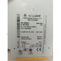 威琅 WIELAND 安全继电器 R1.188.1280.0